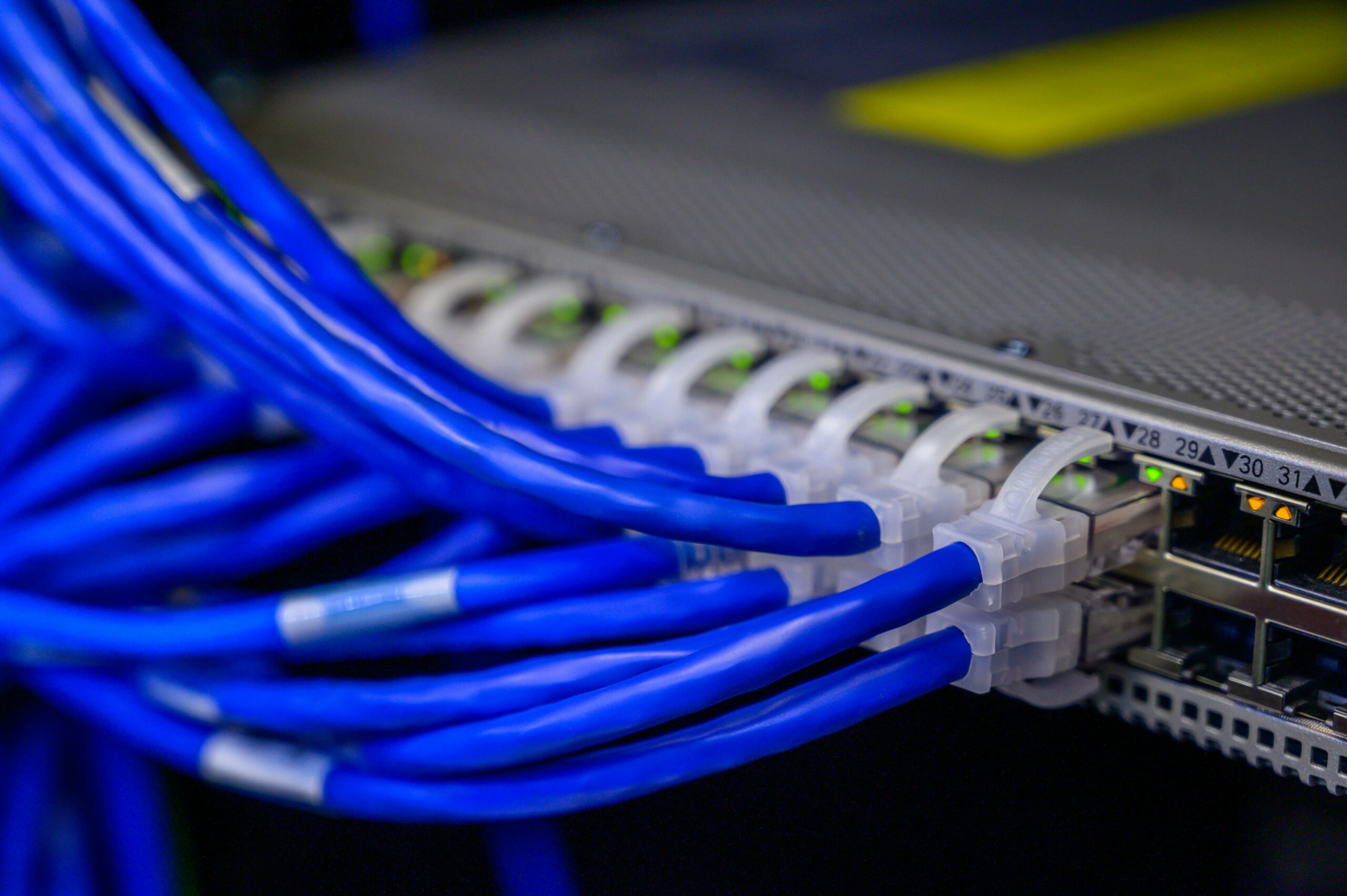 Network switch ports densely packed with blue ethernet cables — photo by Brett Sayles on Pexels