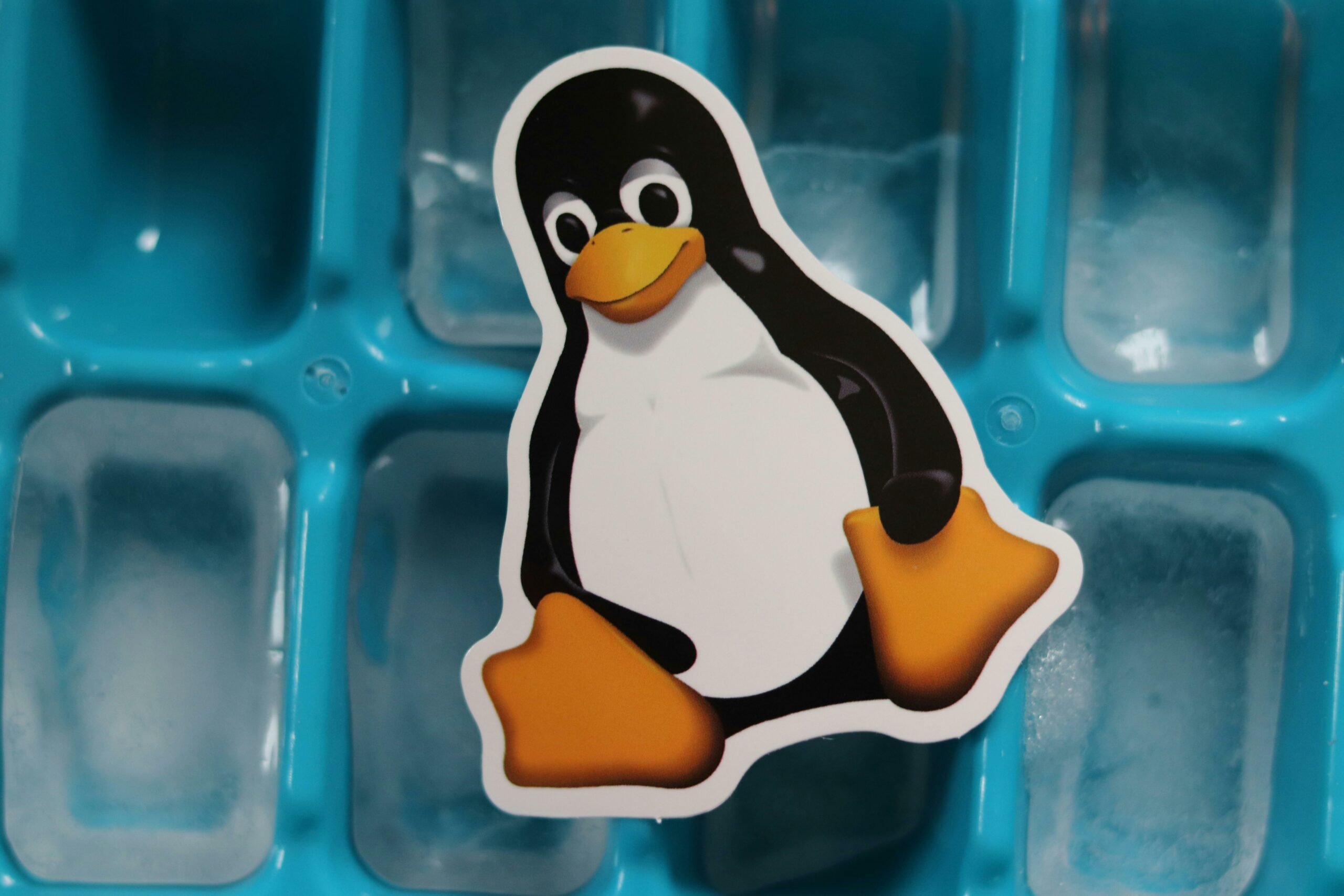 Tux Linux mascot sticker on a blue ice tray — photo by Real Tough Candy on Pexels