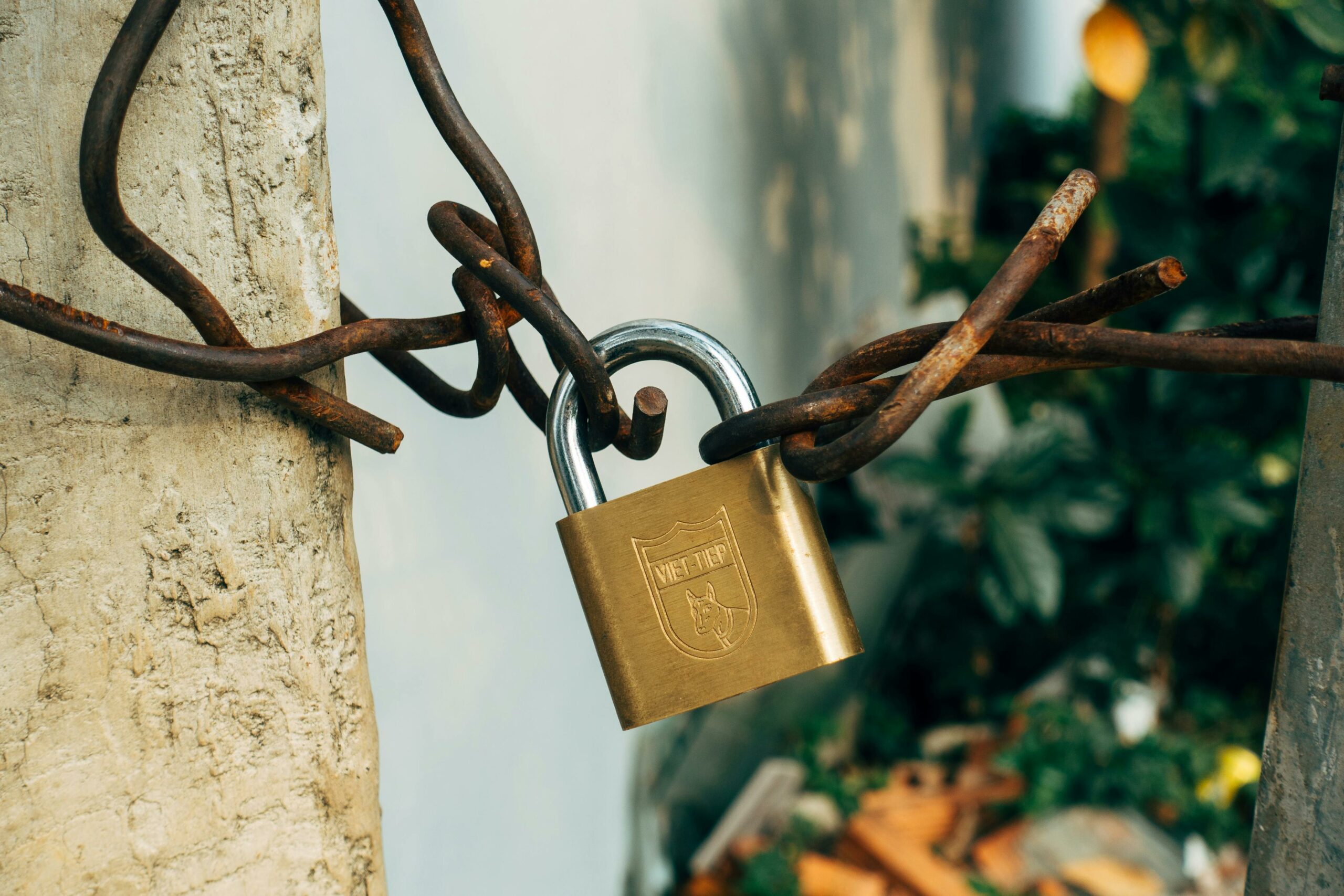 Brass padlock locking a chain around a tree — photo by Markus Winkler on Pexels